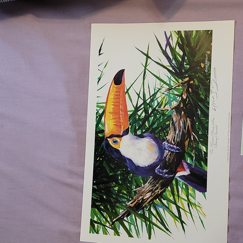 Tu Tucan Limited Edition Print